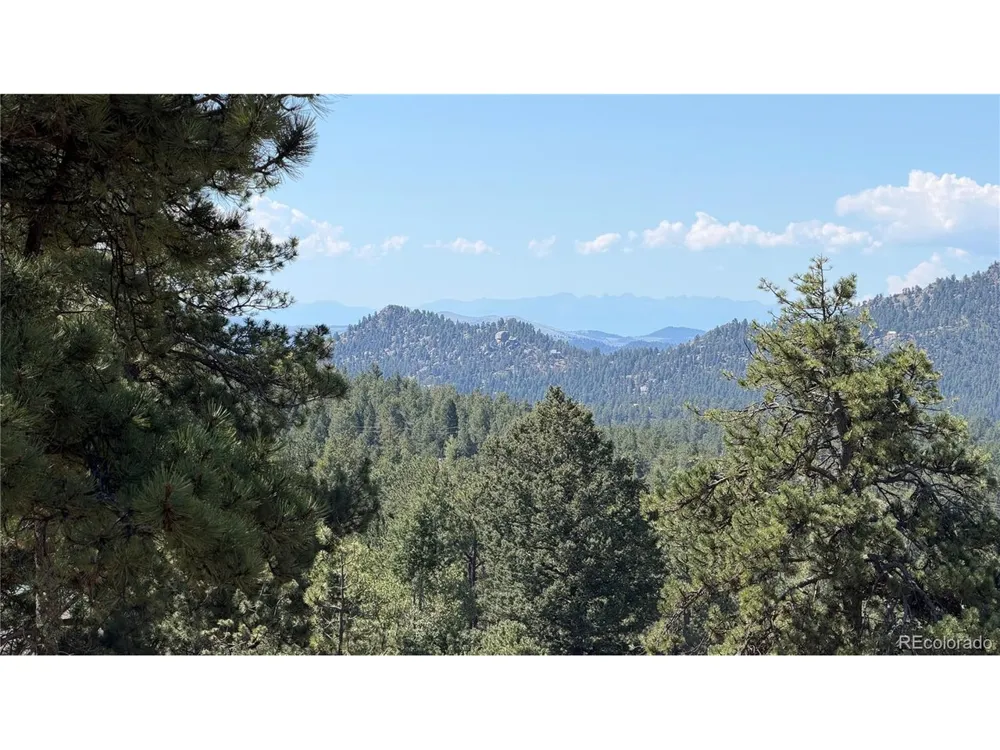 127 Carlton Circle Florissant, CO 80816