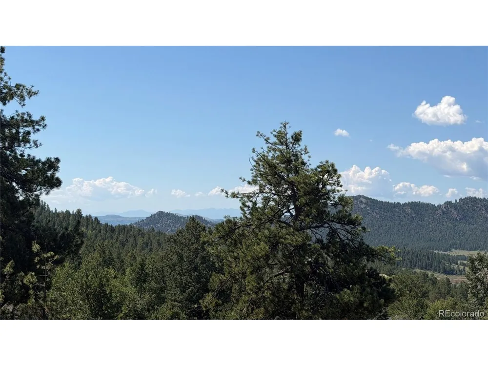 127 Carlton Circle Florissant, CO 80816