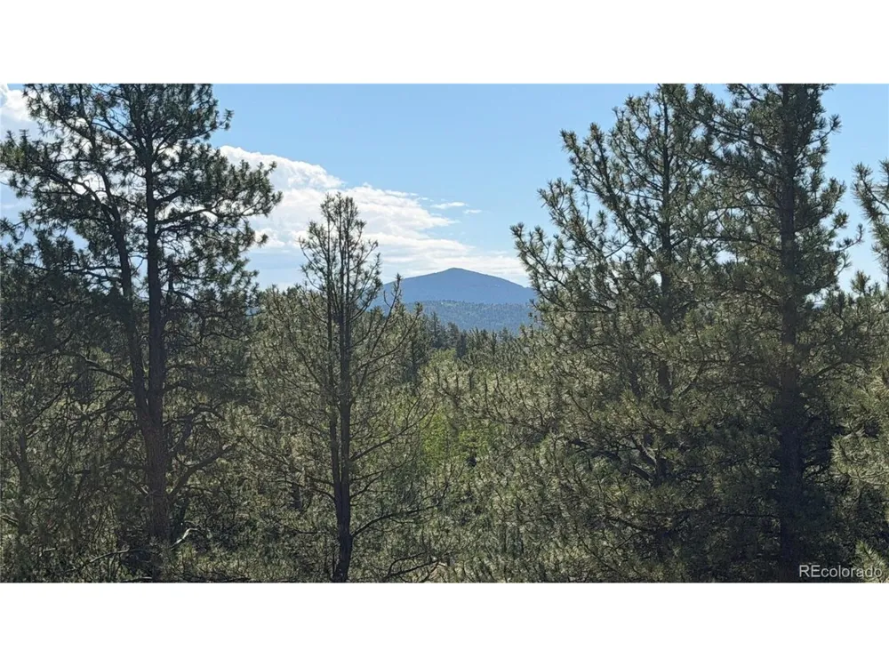 127 Carlton Circle Florissant, CO 80816