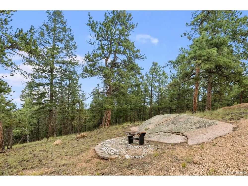 127 Carlton Circle Florissant, CO 80816