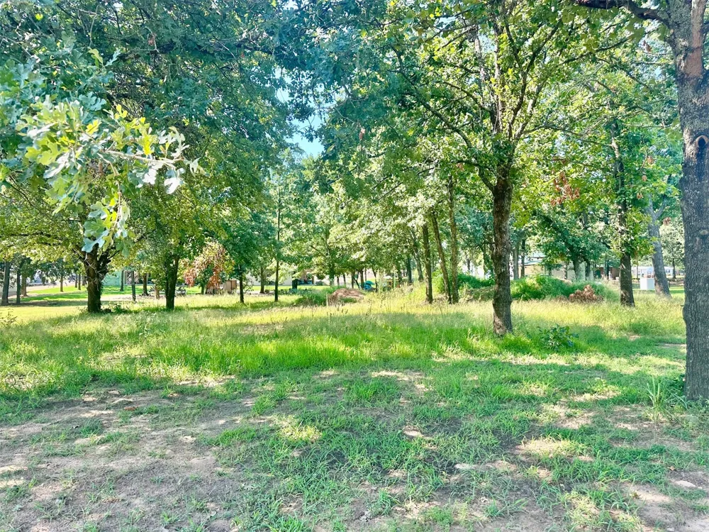 12095 Rhynes Circle Kingston, OK 73439