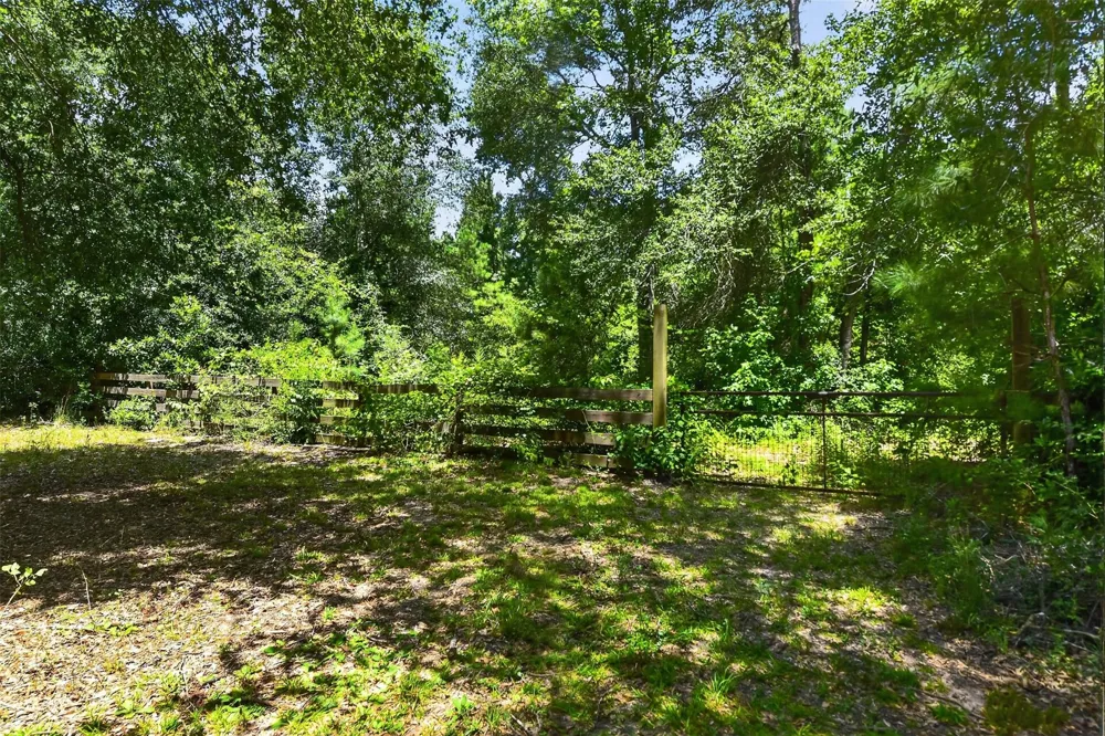 21371 Doru Drive Cleveland, TX 77328