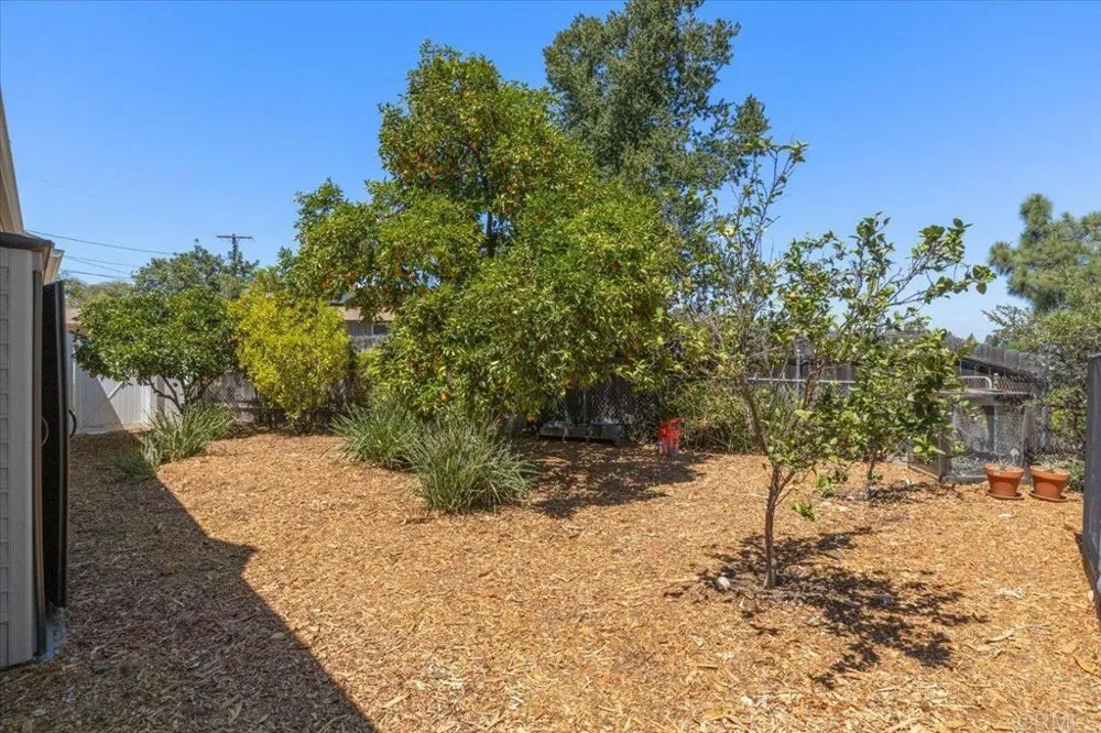 6205 Fernwood Drive La Mesa, CA 91942