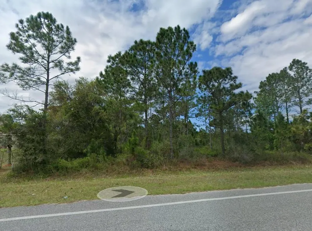 TR 58 BANCROFT BOULEVARD Orlando, FL 32833