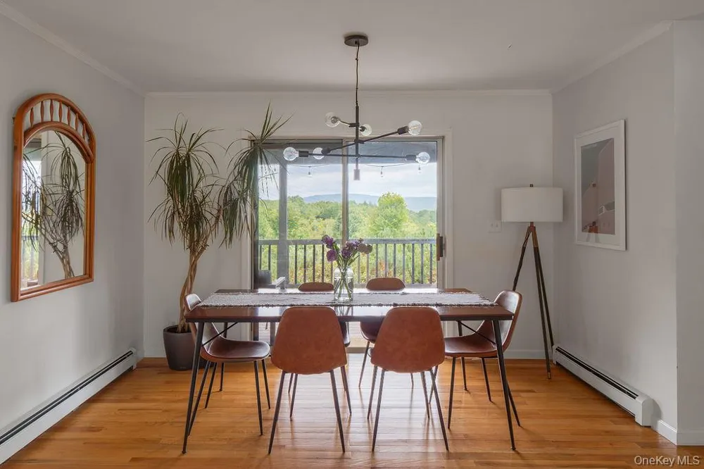 7 Morgan Road Livingston Manor, NY 12758
