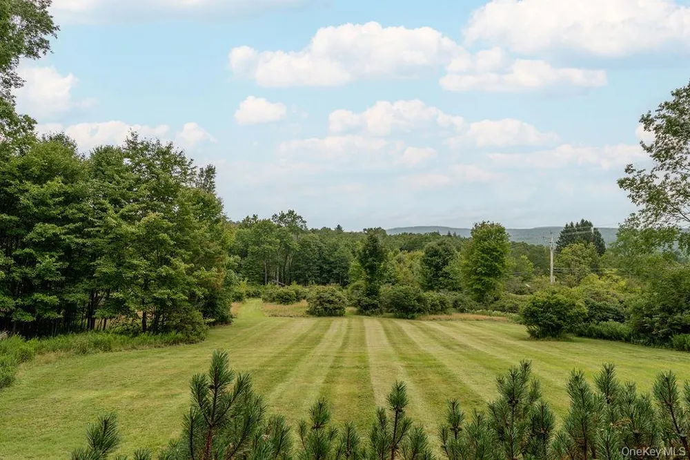 7 Morgan Road Livingston Manor, NY 12758