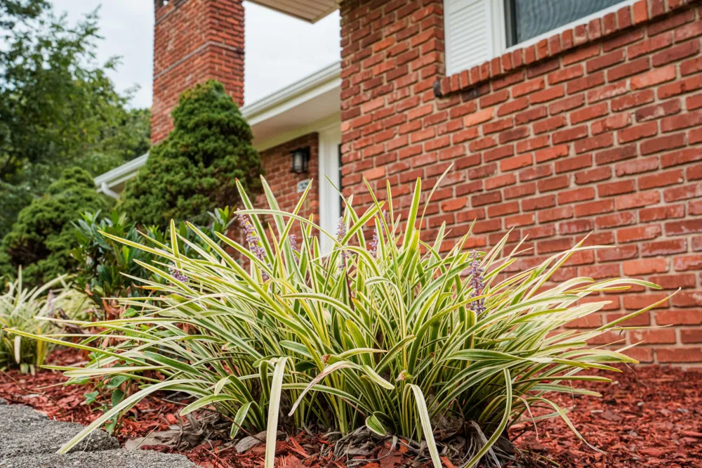 1329 Cloverdale Drive Hixson, TN 37343