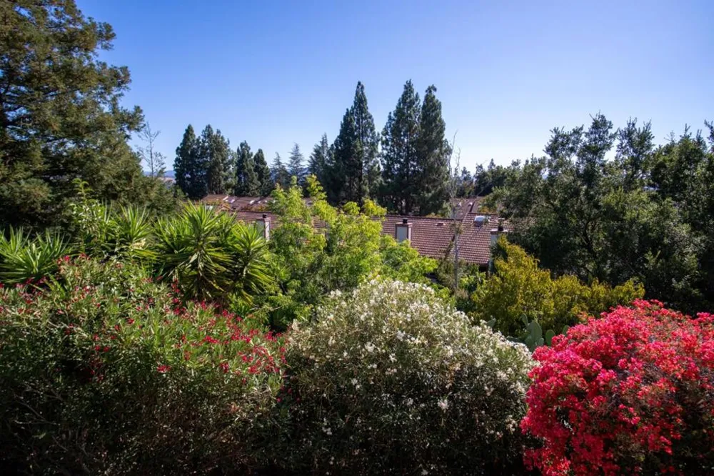 3684 Rocky Creek Court San Jose, CA 95148