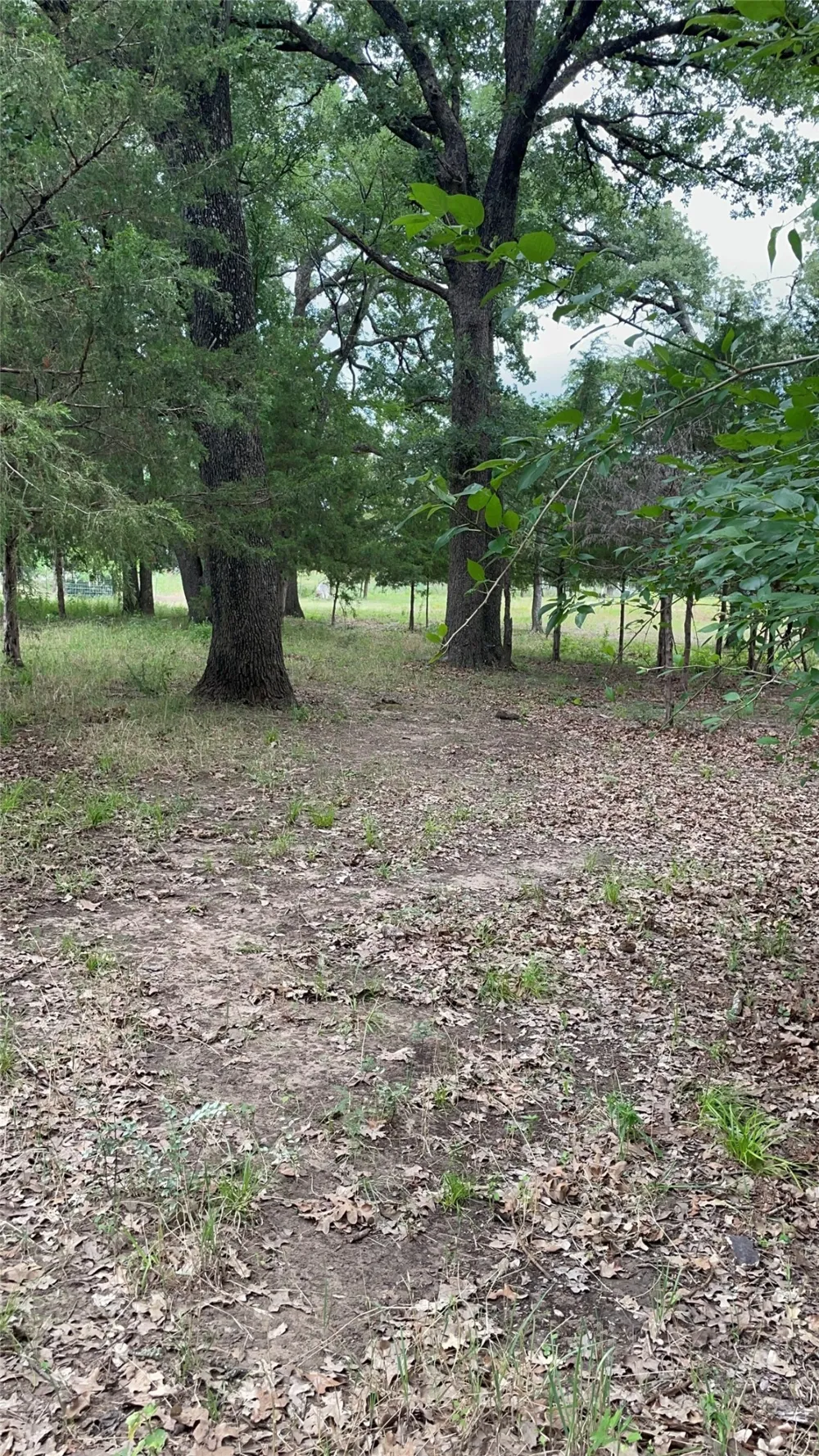 Private Road 2545 Quinlan, TX 75474