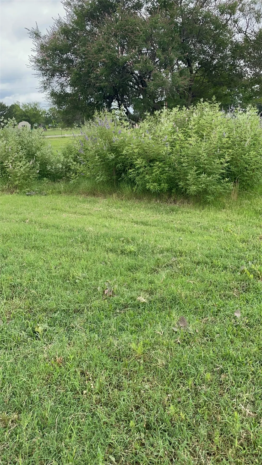Private Road 2545 Quinlan, TX 75474