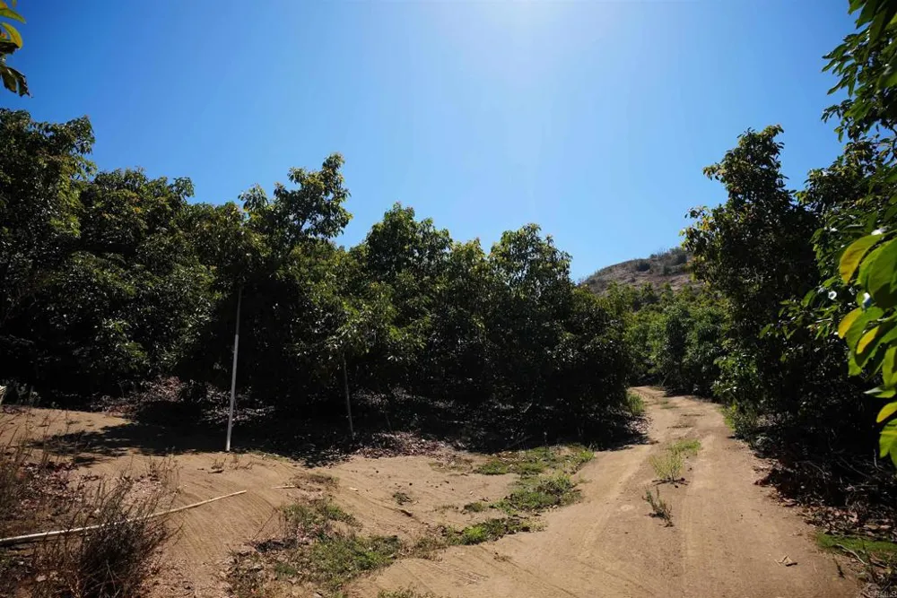 1152 Tarek Vista, CA 92084
