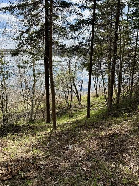 37222 N Courage Dr (Lot 5) Lake George, MN 56458