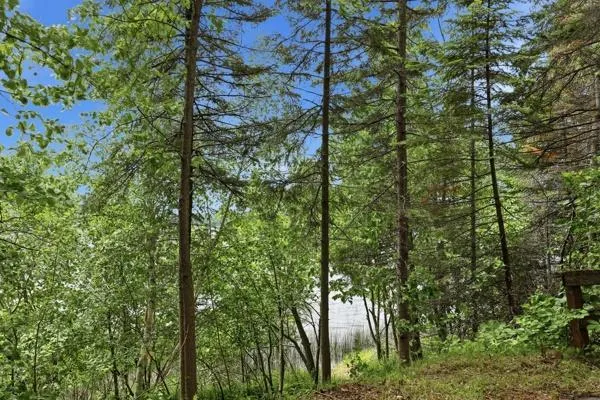37222 N Courage Dr (Lot 5) Lake George, MN 56458