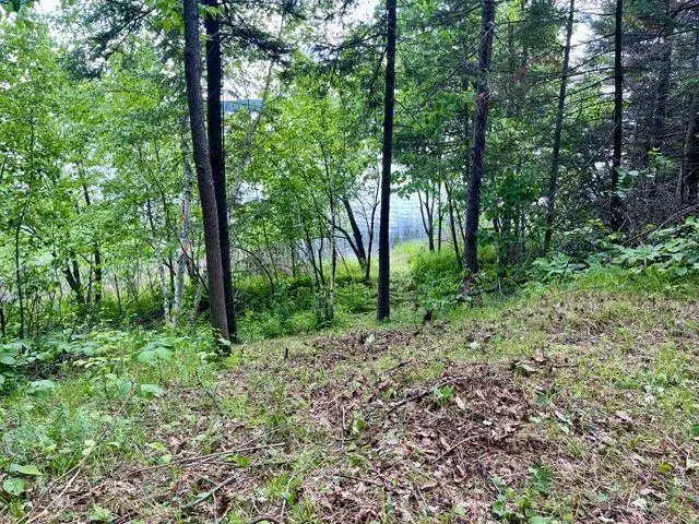 37222 N Courage Dr (Lot 5) Lake George, MN 56458