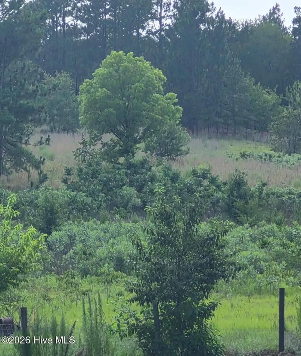 Tbd Dusty Trail Aberdeen, NC 28315