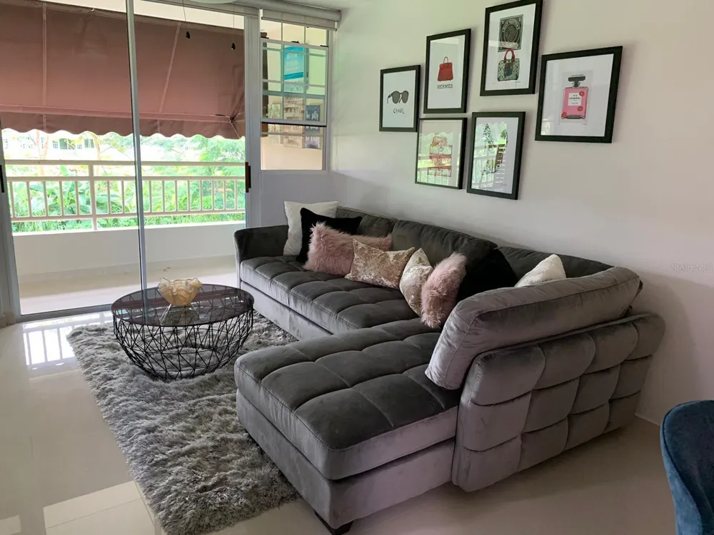 500 LOS FILTROS, BOULEVARD DEL RIO II AVENUE #323 Guaynabo, PR 00971