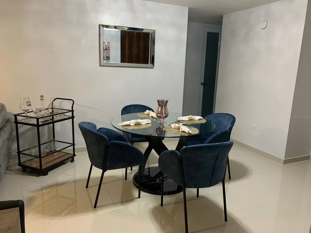 500 LOS FILTROS, BOULEVARD DEL RIO II AVENUE #323 Guaynabo, PR 00971