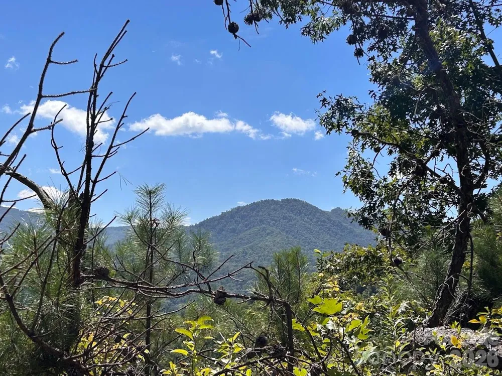 9999 US Hwy 441 Highway S Sylva, NC 28779