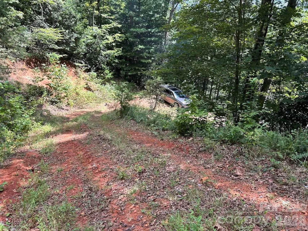 9999 US Hwy 441 Highway S Sylva, NC 28779