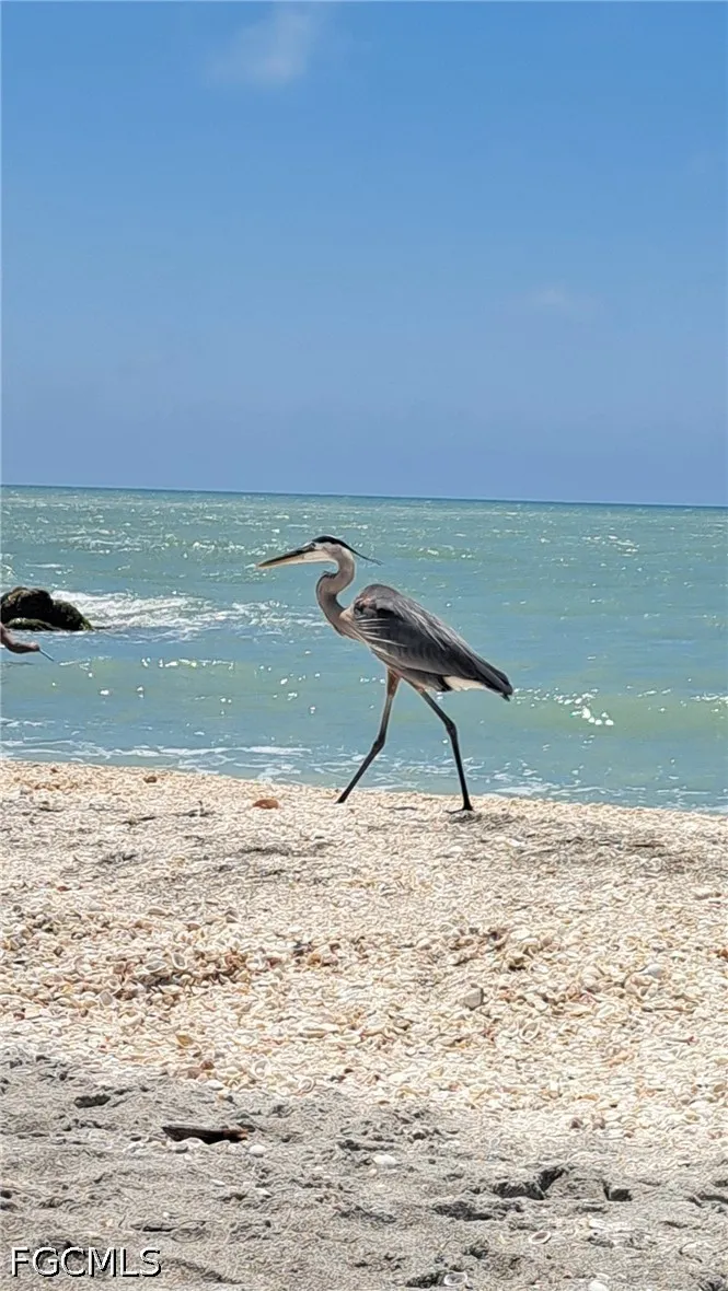 Bayshore Drive Matlacha, FL 33993