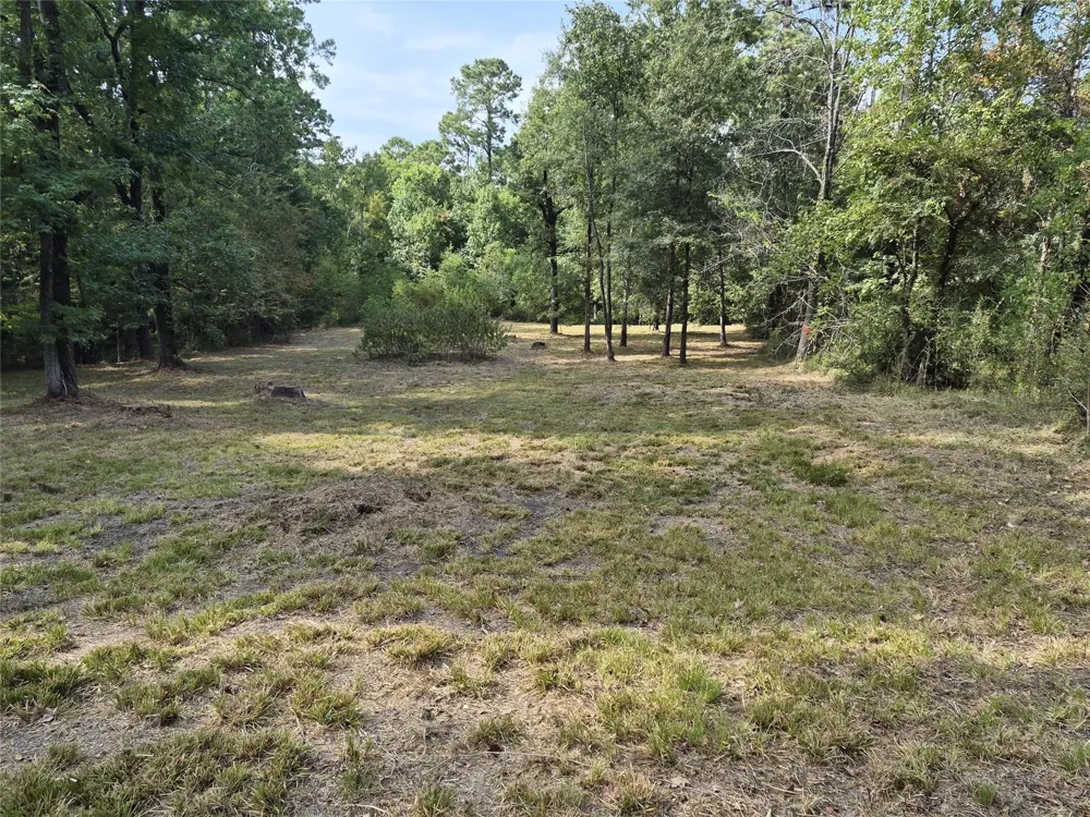 59 Shadowood Lane Coldspring, TX 77331