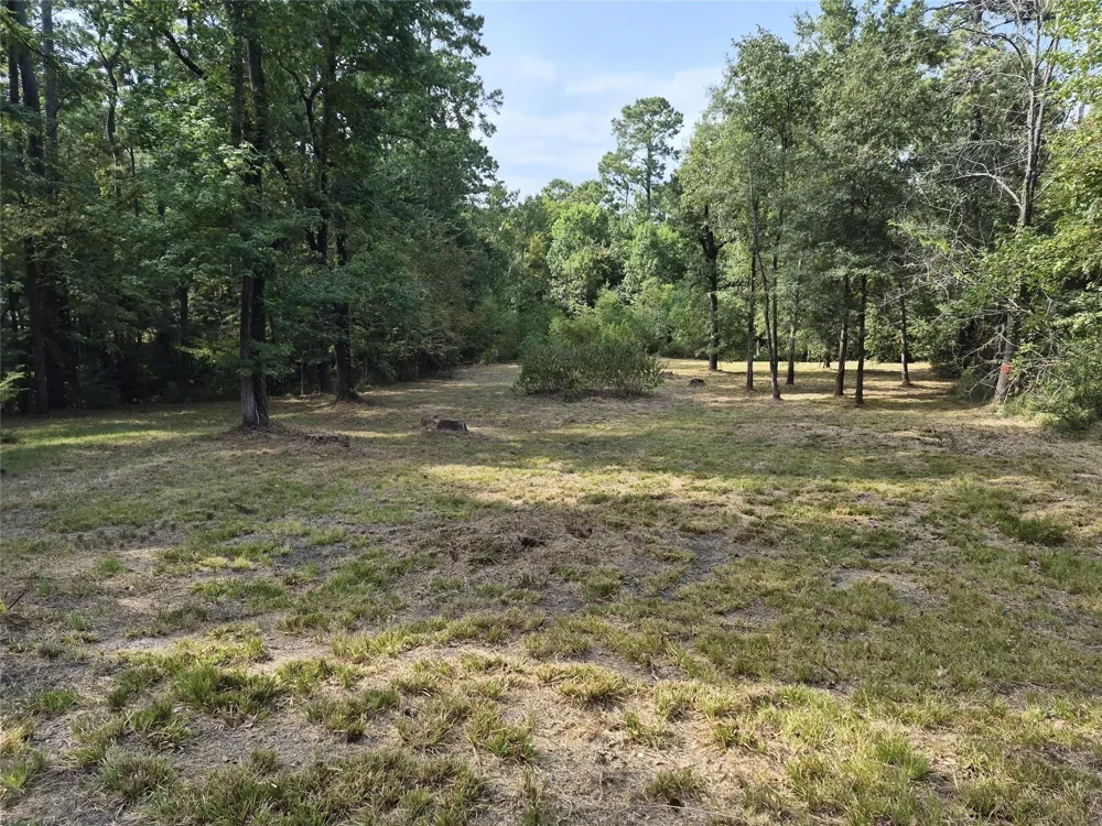 59 Shadowood Lane Coldspring, TX 77331