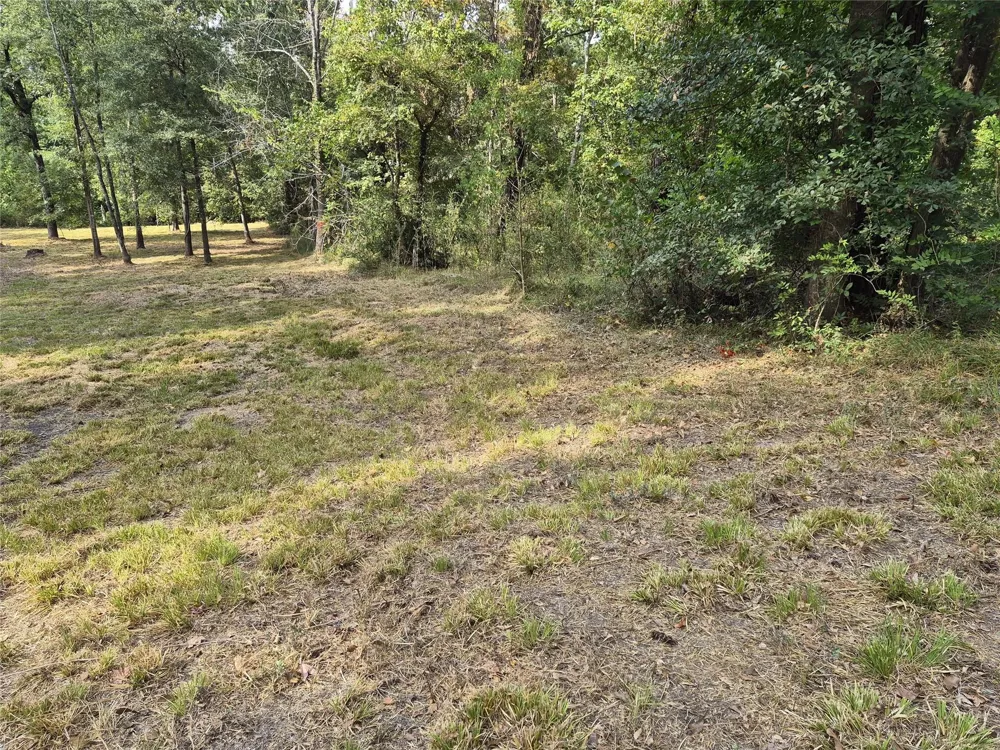 59 Shadowood Lane Coldspring, TX 77331