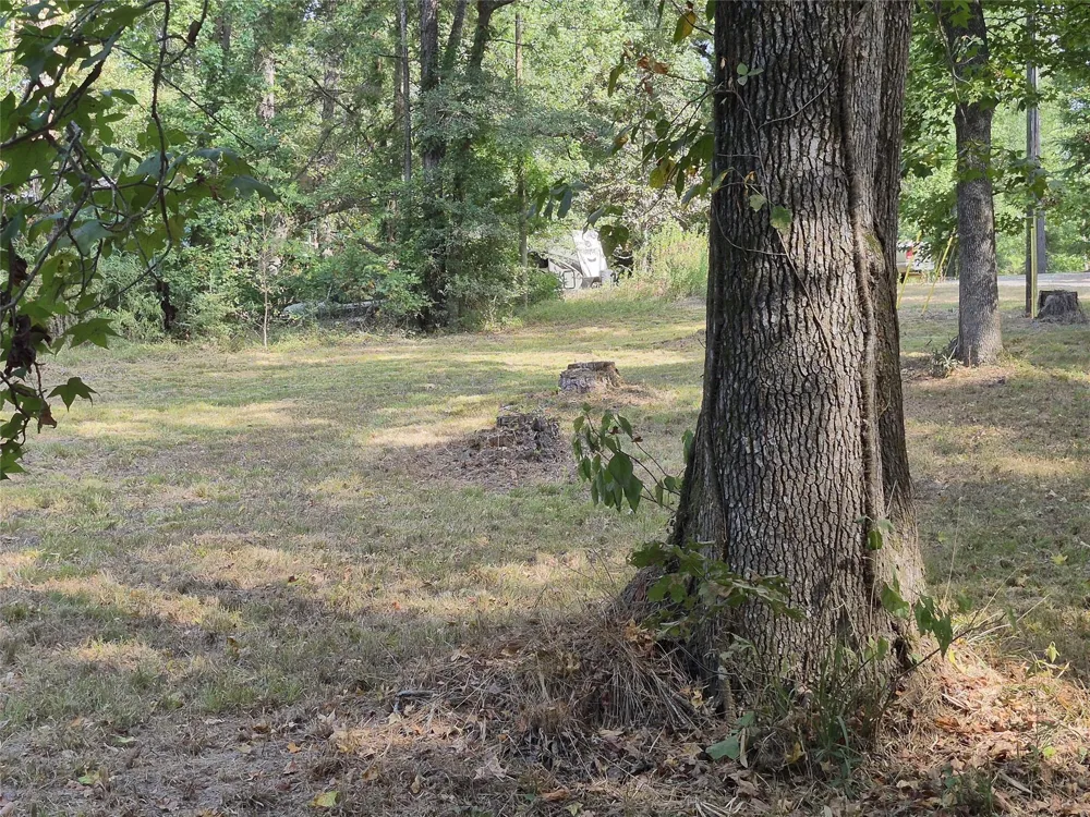 59 Shadowood Lane Coldspring, TX 77331