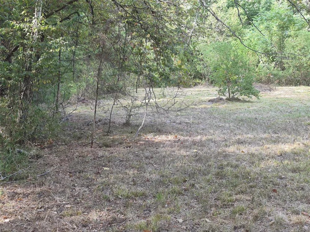 59 Shadowood Lane Coldspring, TX 77331
