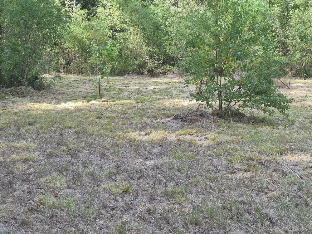 59 Shadowood Lane Coldspring, TX 77331
