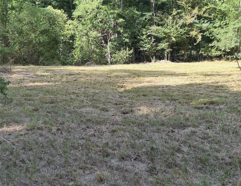 59 Shadowood Lane Coldspring, TX 77331