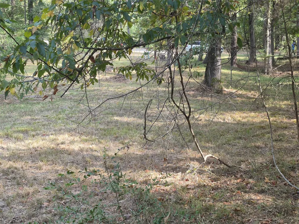 59 Shadowood Lane Coldspring, TX 77331