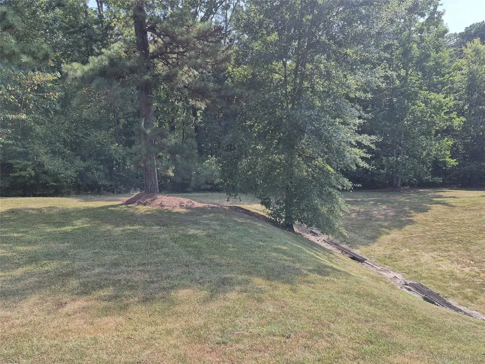 59 Shadowood Lane Coldspring, TX 77331