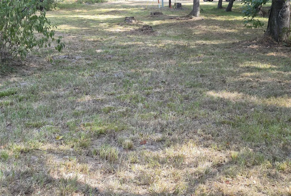 59 Shadowood Lane Coldspring, TX 77331