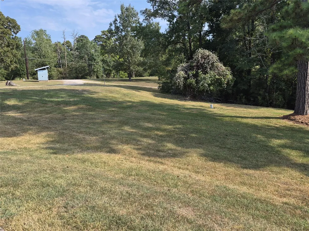 59 Shadowood Lane Coldspring, TX 77331