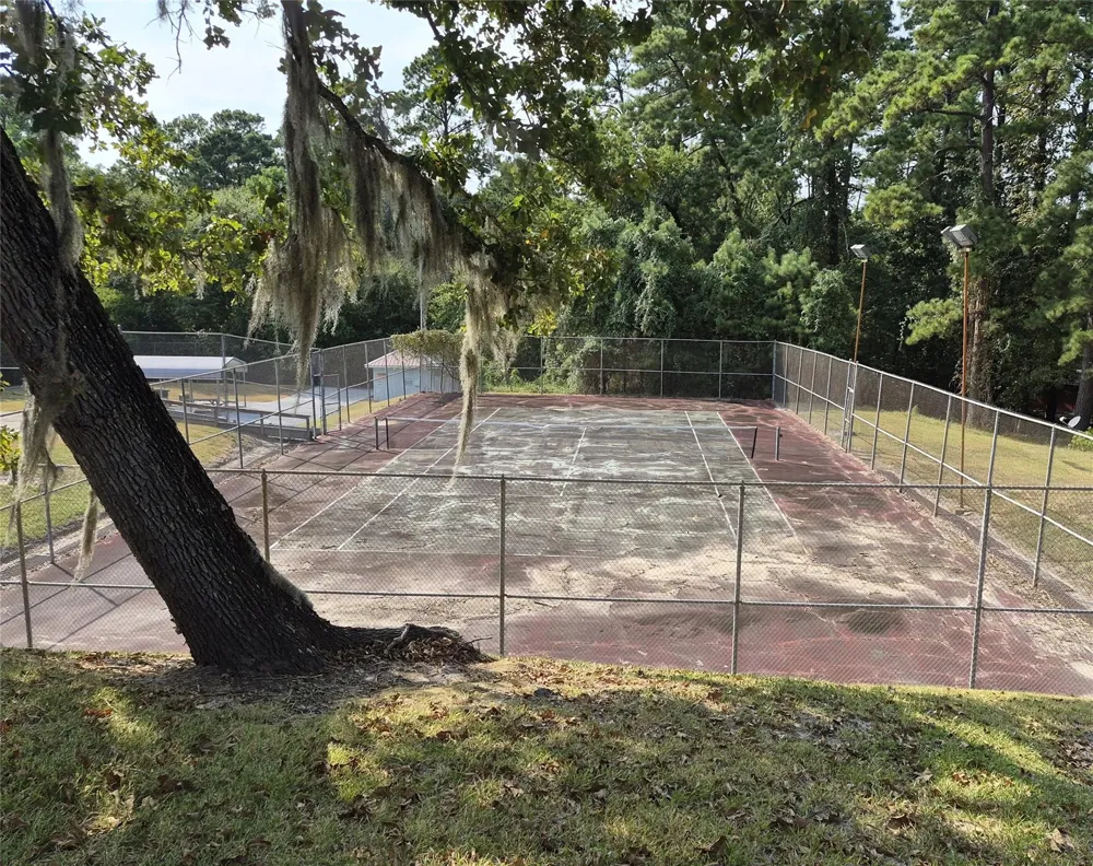 59 Shadowood Lane Coldspring, TX 77331