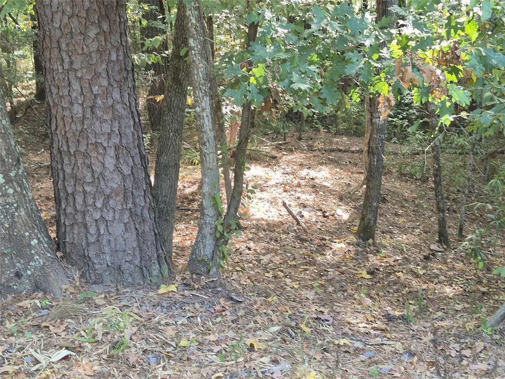59 Shadowood Lane Coldspring, TX 77331