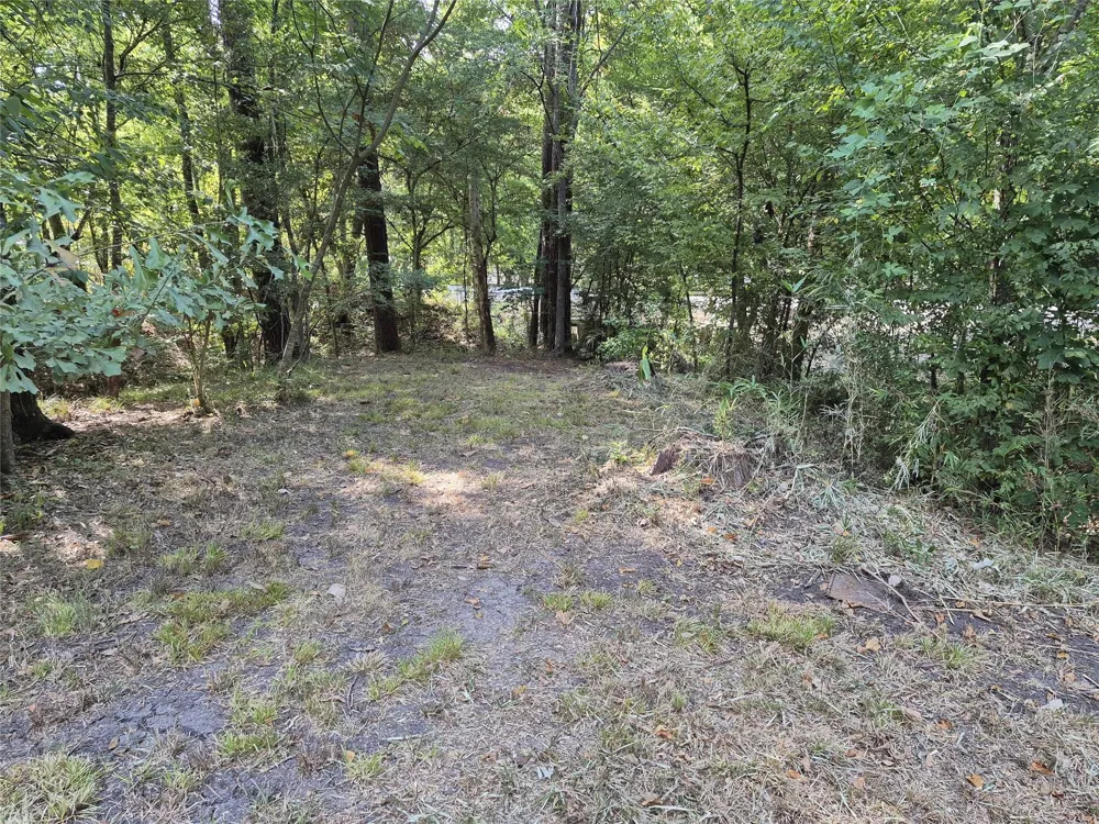 59 Shadowood Lane Coldspring, TX 77331