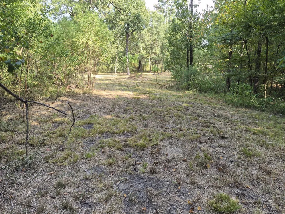59 Shadowood Lane Coldspring, TX 77331