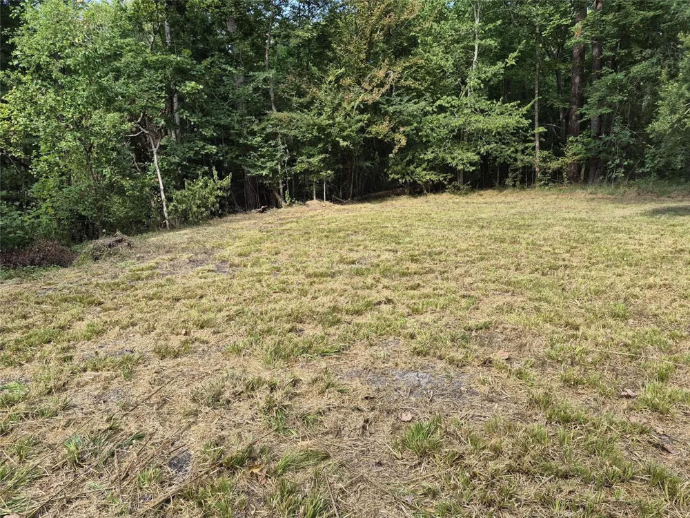 59 Shadowood Lane Coldspring, TX 77331
