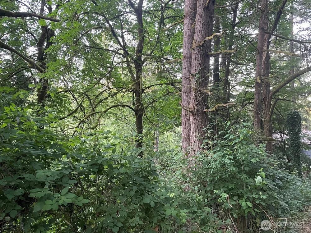 0 NE 179th Street Woodinville, WA 98072