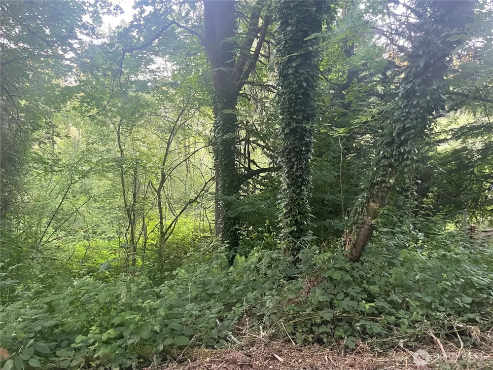 0 NE 179th Street Woodinville, WA 98072