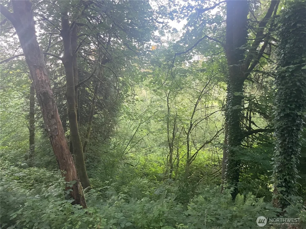 0 NE 179th Street Woodinville, WA 98072