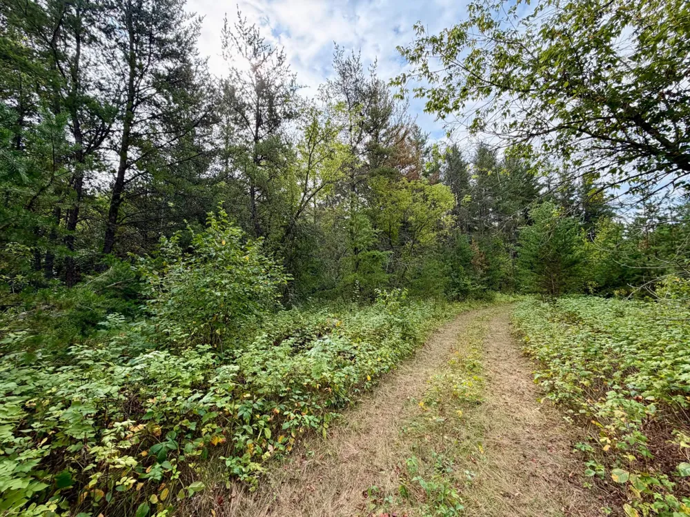 9939 Canary Street Brainerd, MN 56401