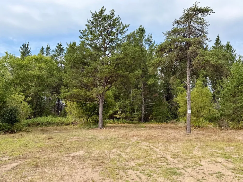 9939 Canary Street Brainerd, MN 56401