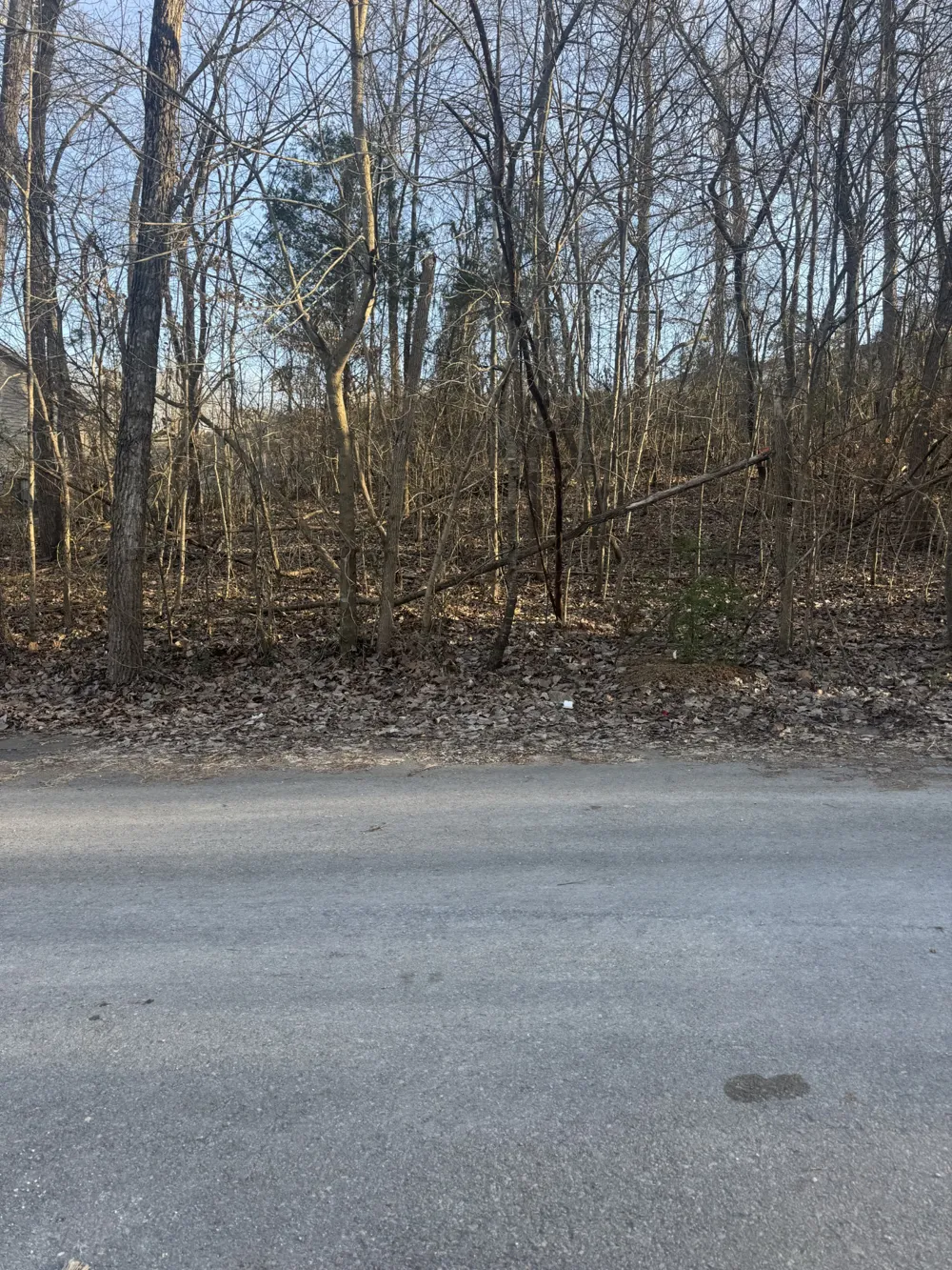 708 Peachers Dr Clarksville, TN 37042