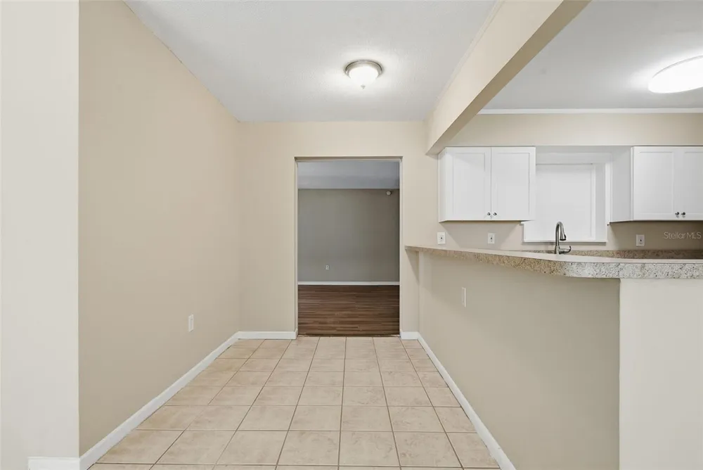 509 SCENIC STREET Leesburg, FL 34748