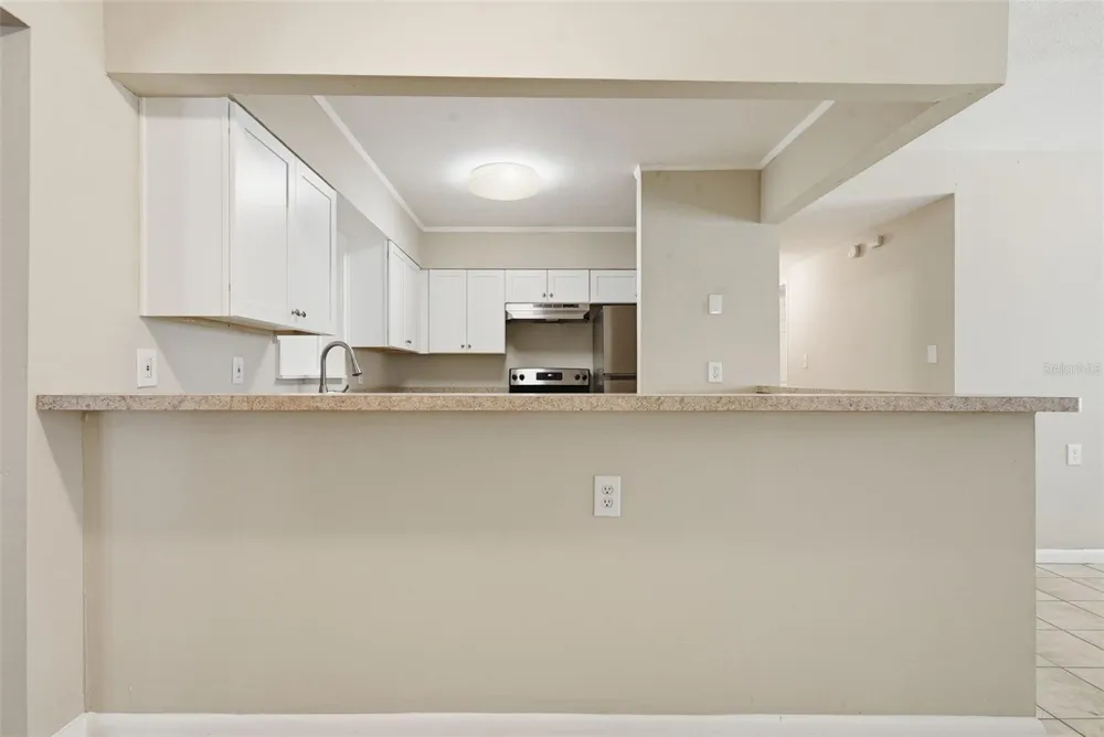 509 SCENIC STREET Leesburg, FL 34748