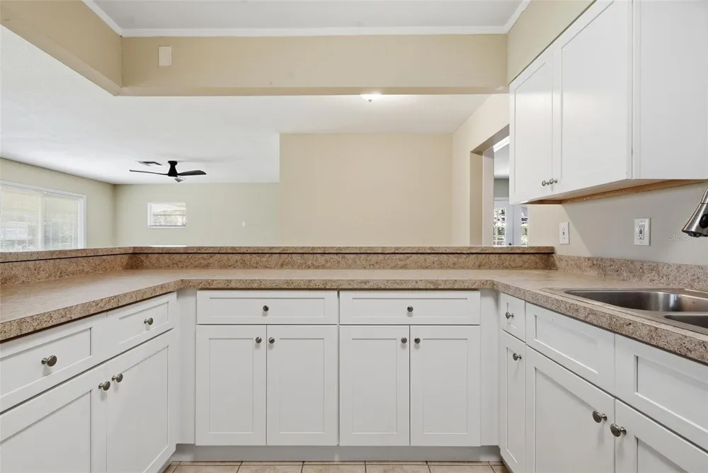 509 SCENIC STREET Leesburg, FL 34748