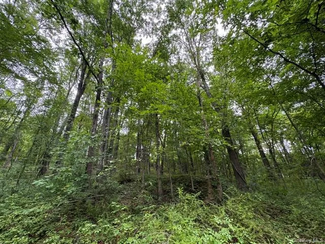 140 Drury Lane Newburgh, NY 12550